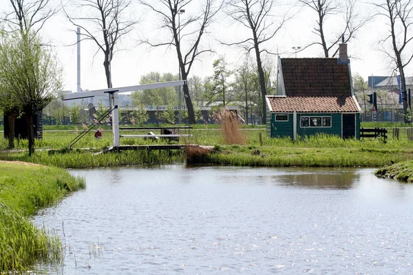Holandia Holland Holenderski Holandia Północna Open Air Museum Zaanse Schans — Zdjęcie stockowe