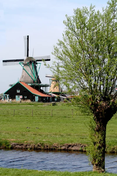 Netherlands Holland Dutch North Holland Open Air Museum Zaanse Schans — стоковое фото