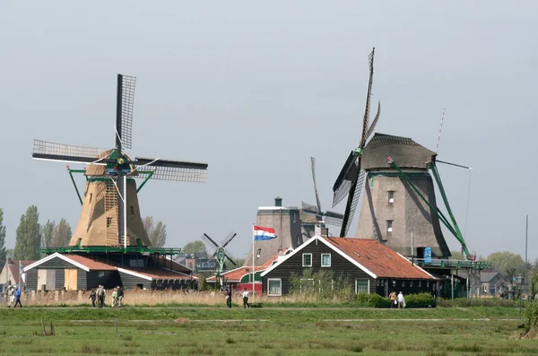オランダ オランダ オランダ 北ホラント州 野外博物館 ザーンセスカンスが 2015 Original オランダの歴史的な風車オープンエア ミュージアムで公開されます — ストック写真