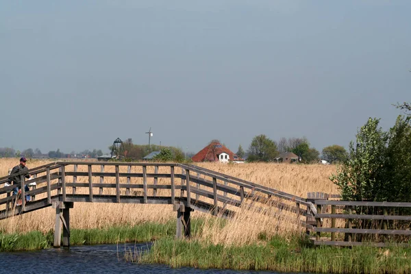 Hollanda Hollanda Flamanca Kuzey Hollanda Açık Hava Müzesi Zaanse Schans — Stok fotoğraf