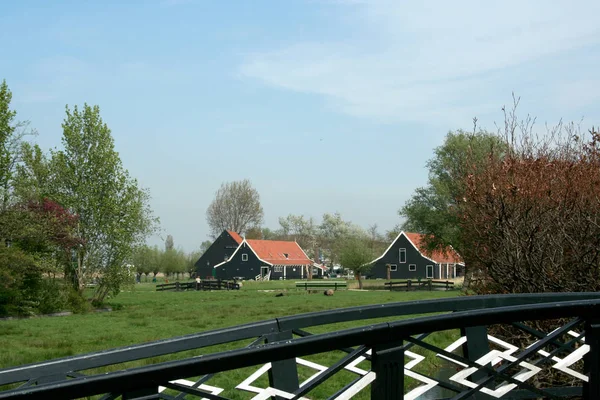 Netherlands Holland Dutch North Holland Open Air Museum Zaanse Schans — Stock Photo, Image