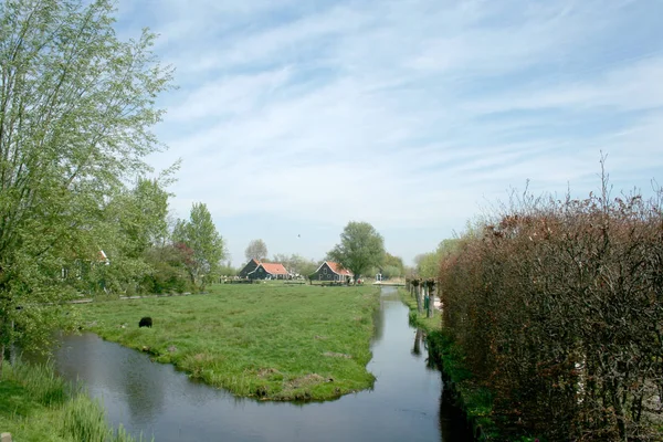 北荷兰 露天博物馆 扎安塞 博物馆的农村景观 — 图库照片
