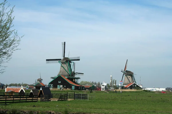 北荷兰 露天博物馆 Zaanse Schans 2015年5月 原始的荷兰历史风车暴露在露天博物馆 — 图库照片