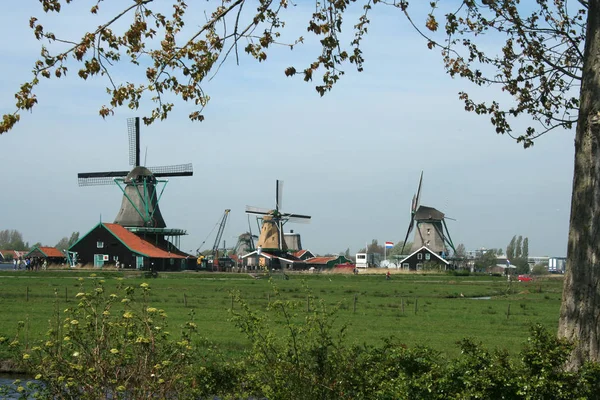 Holandia Holland Holenderski Holandia Północna Muzeum Świeżym Powietrzu Zaanse Schans — Zdjęcie stockowe