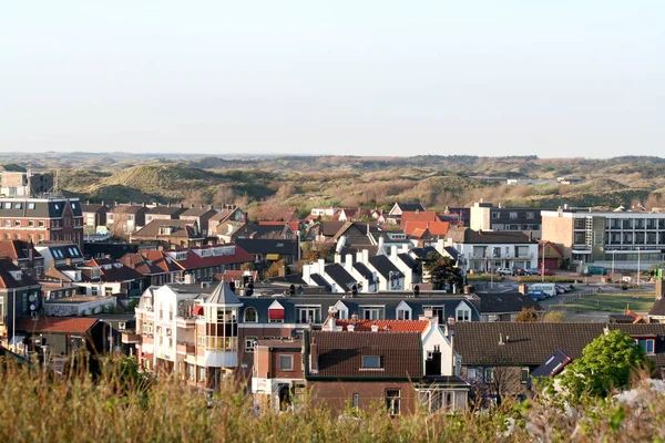 Нідерланди Північна Голландія Beverwijk Вайк Aan Zee Може 2016 Bird — стокове фото