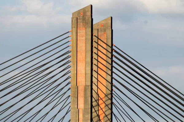 Holanda Holanda Holanda Holanda Gelderland Bommelerwaard Zaltbommel Julho 2017 Ponte — Fotografia de Stock