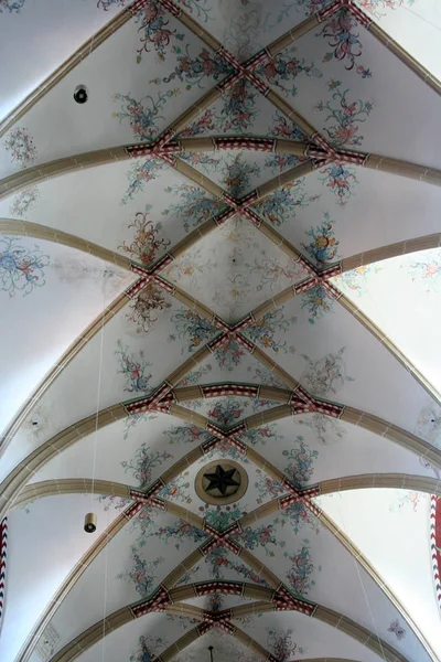 Hollanda, Hollanda, Flamanca, Gelderland, Bommelerwaard, Zaltbommel, Temmuz 2017: iç aziz Martin'in Kilisesi