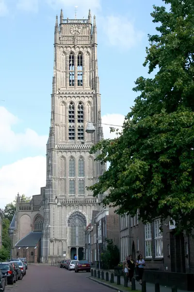 オランダ オランダ オランダ ヘルダーラント州 Bommelerwaard ザルトボメル 2017年 外装聖マーティン教会 — ストック写真