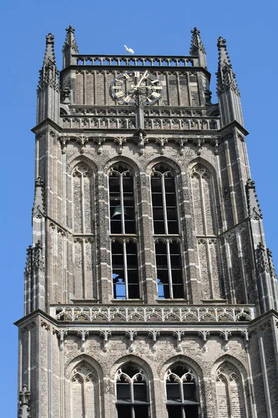 Hollanda Hollanda Flamanca Gelderland Bommelerwaard Zaltbommel Temmuz 2017 Dış Aziz — Stok fotoğraf