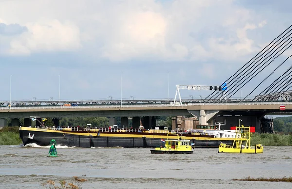 Netherlands Holland Dutch Gelderland Bommelerwaard Zaltbommel July 2017 Cable Stayed — Stockfoto