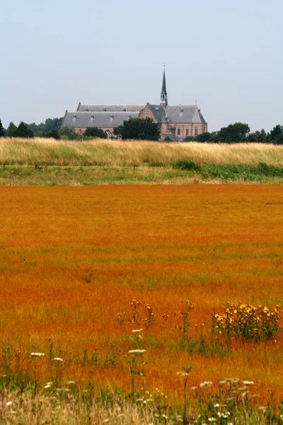 Nederland Holland Nederlands Zeeland Juli 2017 Dorp Intypical Geïsoleerd Landschap — Stockfoto