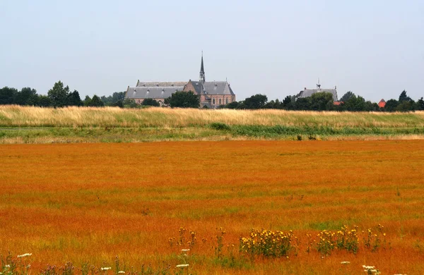 オランダ オランダ オランダ ゼーラント州 2017年 Intypical 分離したオランダのゼーラント州の風景 — ストック写真