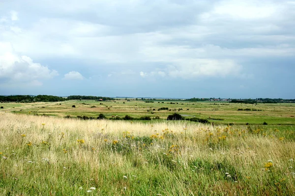 Netherlands Holland Dutch Zeeland July 2017 Typical Isolated Landscape Province — Stock Photo, Image