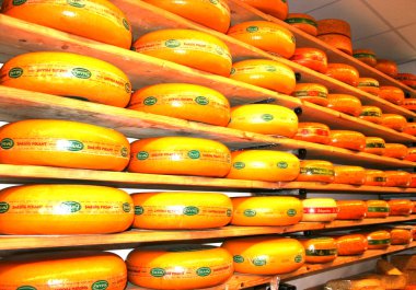 Hollanda, Kuzey Hollanda, Duch, Haziran 2016: Alkmaar bir dükkanda özgün Hollanda peynir