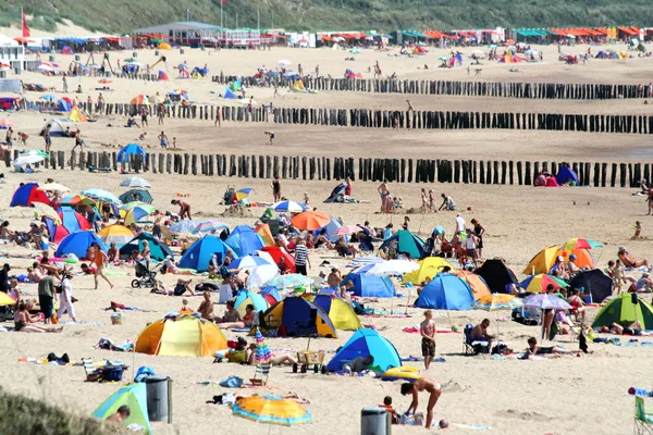 Holanda Holanda Holanda Zelândia Zoutelande Julho 2017 Vida Praia Zouteland — Fotografia de Stock