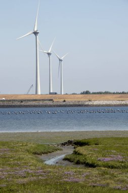 Hollanda, Hollanda, Flamanca, Zeeland, Philipsland,, yel değirmenleri ile Temmuz 2018:power bitki 
