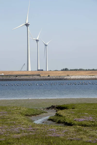 Netherlands Holland Dutch Zeeland Philipsland July 2018 Power Plant Windmills — Stock Photo, Image