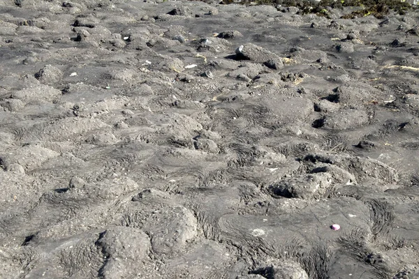 译兰省 2018年7月 焦油在石头保护 Brouwersdam — 图库照片