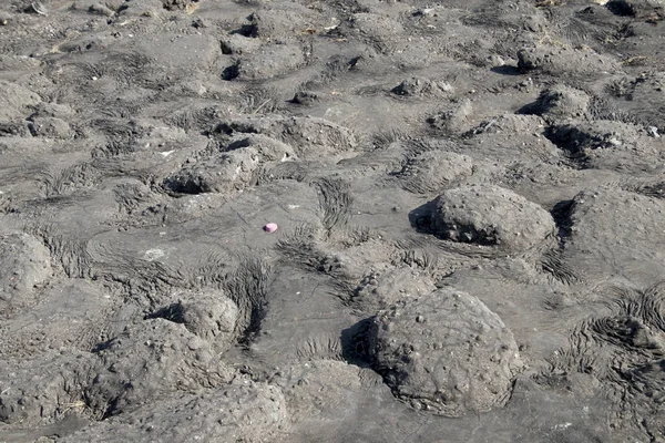 Paesi Bassi Olanda Olanda Zelanda Luglio 2018 Tar Stones Proteggere — Foto Stock