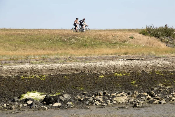 Nederland Holland Nederlands Schouwen Duiveland Zeeland Ouwerkerk Juli 2018 Low — Stockfoto