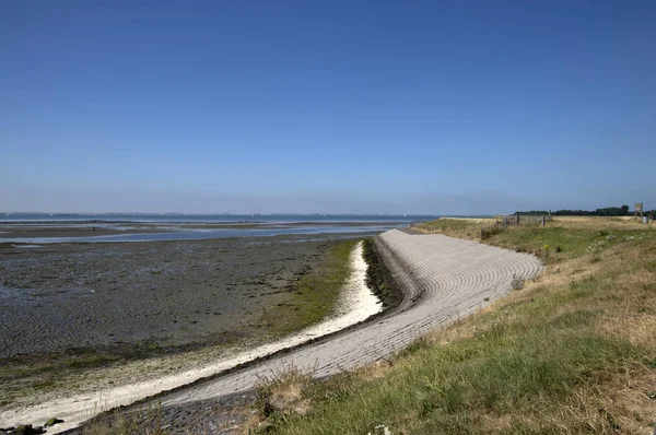 译兰省 Schouwen Duiveland Ouwerkerk 2018年7月 低潮在东部斯凯尔特的海岸 — 图库照片