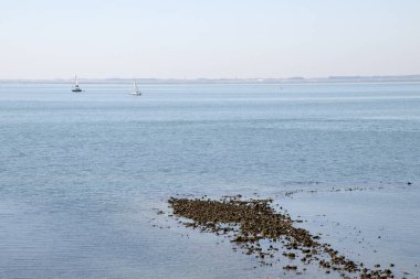 Hollanda, Hollanda, Flamanca, Zeeland Schouwen-duiveland, Ouwerkerk, Nieuwendijk, Temmuz 2018:Low gelgit Doğu Scheldt sahilinde