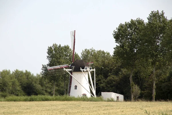 Niederlande Holland Holländisch Zeeland Schouwen Duiveland Ouwerkerk Juli 2018 Windmühle — Stockfoto