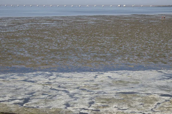 Hollanda Hollanda Flamanca Zeeland Schouwen Duiveland Ouwerkerk Nieuwendijk Temmuz 2018 — Stok fotoğraf