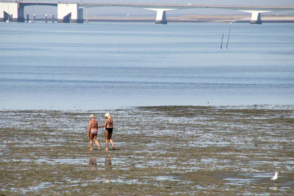 Hollanda Hollanda Flamanca Zeeland Schouwen Duiveland Ouwerkerk Nieuwendijk Temmuz 2018 — Stok fotoğraf