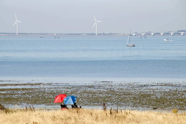 Nederland Holland Nederlands Schouwen Duiveland Zeeland Ouwerkerk Nieuwendijk Juli 2018 — Stockfoto