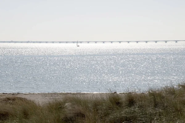 Nederland Holland Nederlands Schouwen Duiveland Zeeland Ouwerkerk Nieuwendijk Juli 2018 — Stockfoto