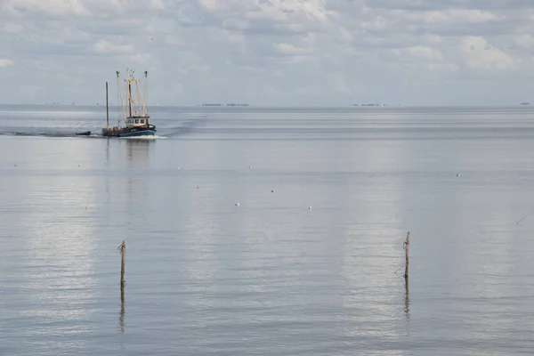 Нідерланди Фрісландія Afsluitdijk Липень 2018 Fishing Човен Спорожнення Сіток Розташованих — стокове фото