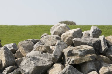 Hollanda, Friesland, Temmuz 2018:Heap taş dike yakın bir gelecekte yetiştirmek için