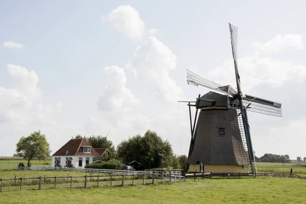 Paesi Bassi Friesland Workum Luglio 2018Mulino Vento Storico Nel Prato — Foto Stock