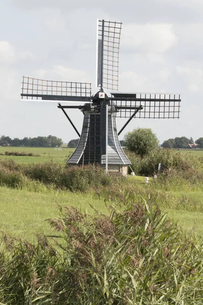 Países Bajos Frisia Julio 2018 Molino Agua Histórico Prado — Foto de Stock