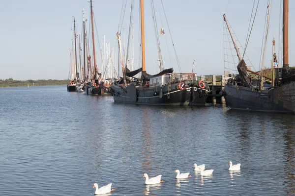 Nederländerna Friesland Makkum Juli 2018 — Stockfoto