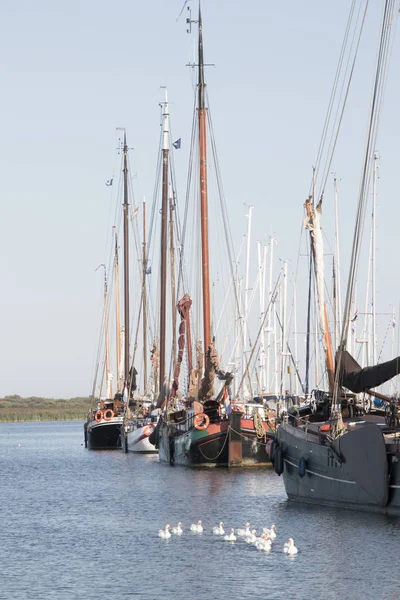 Nederländerna Friesland Makkum Juli 2018 — Stockfoto