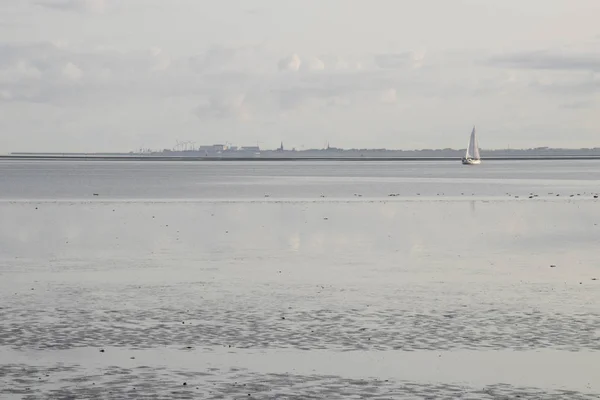 네덜란드의 프리슬란트 Waddensea July2018 View 바다에 — 스톡 사진