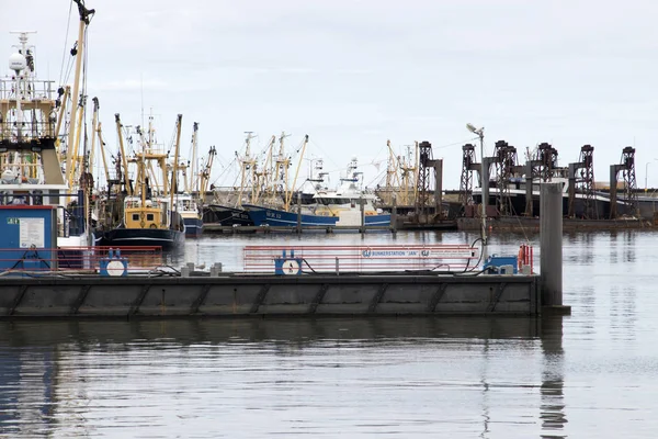 Hollandia Észak Holland Cornelis Július 2018 Boats Kikötés Kikötőre Tökéle — Stock Fotó