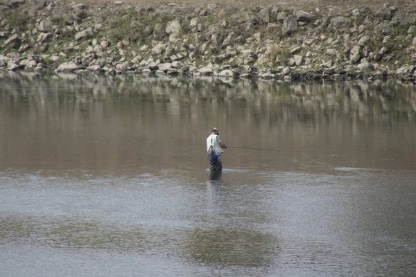 オランダ リンブルフ マース川 2018 Man はオランダとベルギーの国境にあるムーズ川で魚釣り — ストック写真