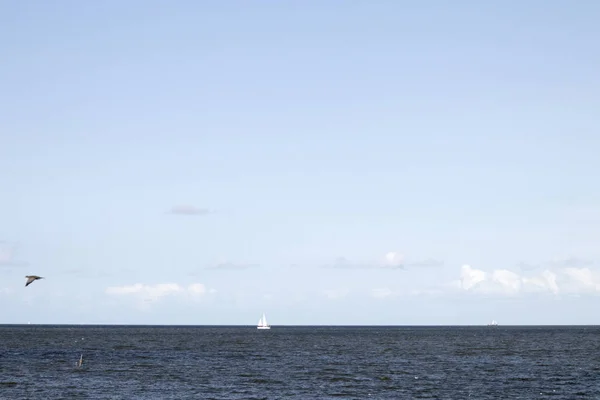 Hollanda Kuzey Holland Medemblik Ijsselmeer Temmuz 2018 Wide Görünüm — Stok fotoğraf