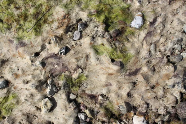 Πέτρες Ξαπλώστε Στην Παραλία Και Καλύπτεται Φύκια Μπορούν Χρησιμοποιηθούν Ένα — Φωτογραφία Αρχείου