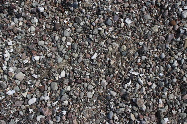 Pedras Que Jazem Praia Coberto Com Algas Marinhas Pode Ser — Fotografia de Stock