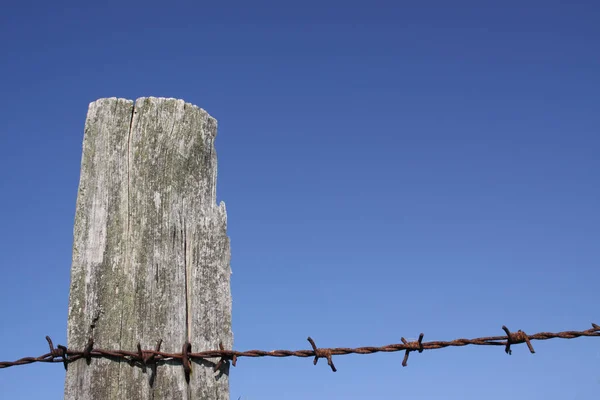 Close Barbed Wire Nailed Old Weathered Post Bright Blue Sky — Stock Photo, Image