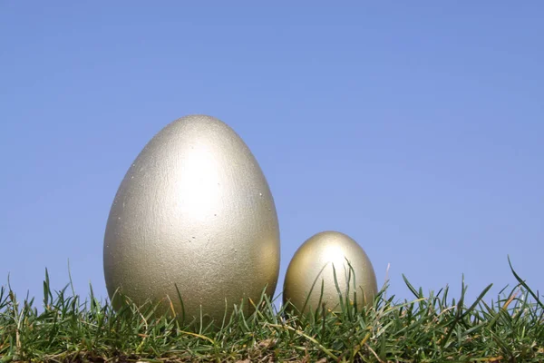 明るい青空草 黄金の卵 — ストック写真