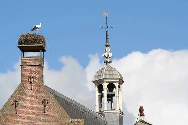 Bir Yuva Üzerinde Leylek Hollanda Oudewater Belediye Binası Baca — Stok fotoğraf