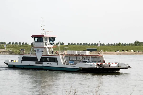 Netherlands Gelderland Zaltbommel Brakel July 2017 Ferry River Waal — Φωτογραφία Αρχείου