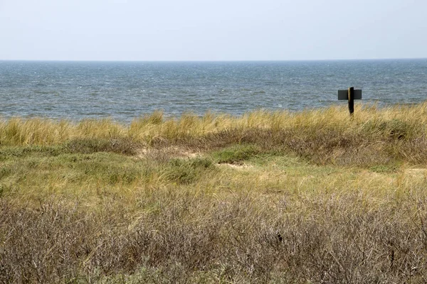 Netherlands,south holland,Noordwijk,august 2017:People walking in the dune
