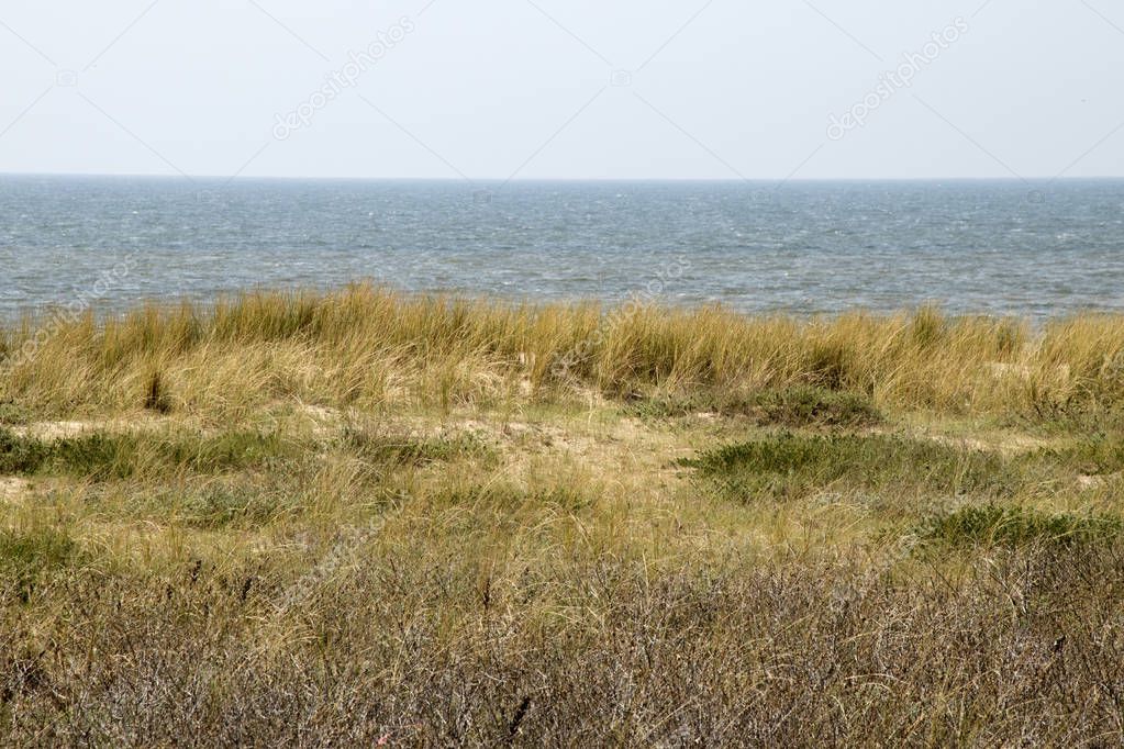 Netherlands,south holland,Noordwijk,august 2017:People walking in the dune