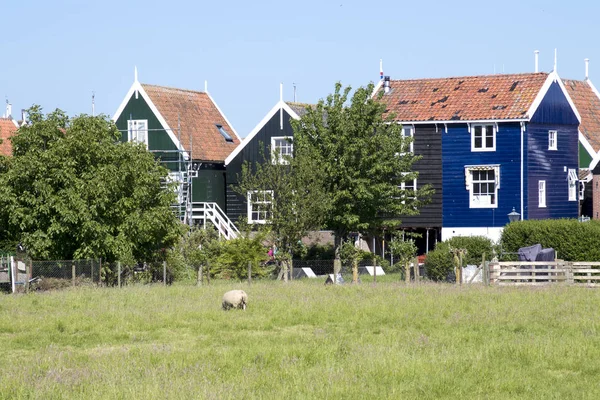 Hollanda Kuzeye Holland Marken Ağustos 2018 Marken Yarımadasında Ahşap Evler — Stok fotoğraf